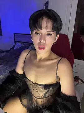 Show Webcam de Plaxxxtique
