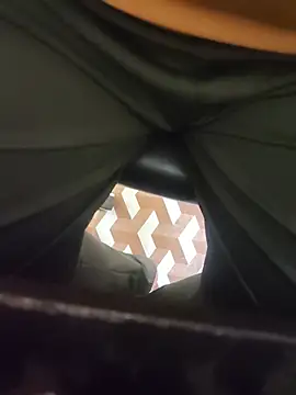 u_wan_meのウェブカメラショー