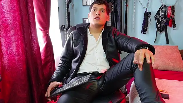 dom2travelersssn Webbikameraesitys
