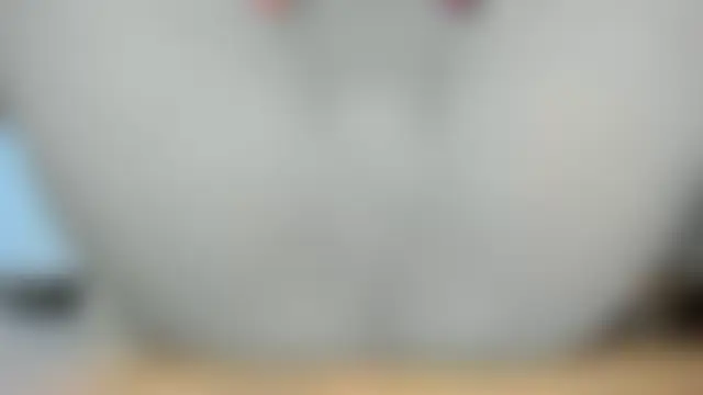 Squirtlady38 Live Chatraum