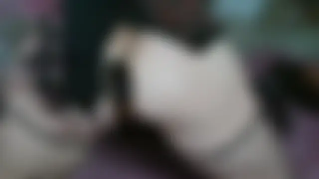 Sala de chat ao vivo de Yllmira