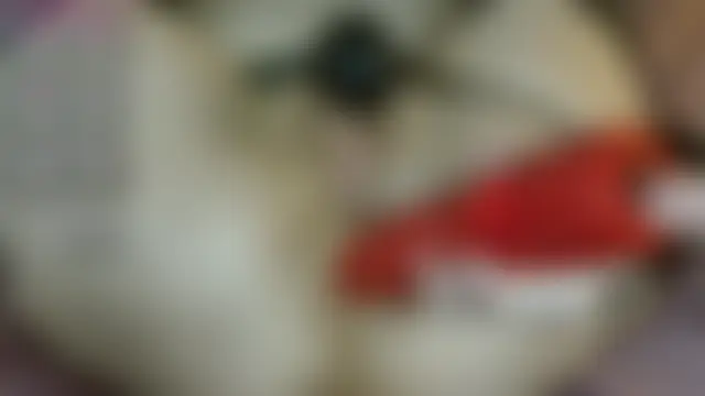 Yllmira live-chat rom