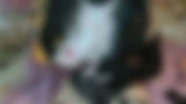 Bilik Sembang Langsung Yllmira