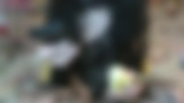 Yllmira Live Chatrum