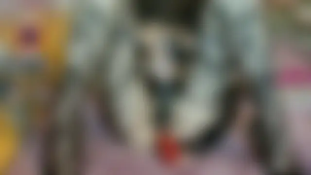 Yllmira live-chat rom