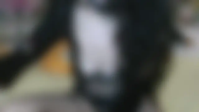 Bilik Sembang Langsung Yllmira