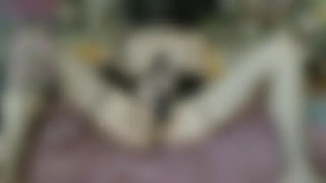 Yllmira 실시간 채팅방