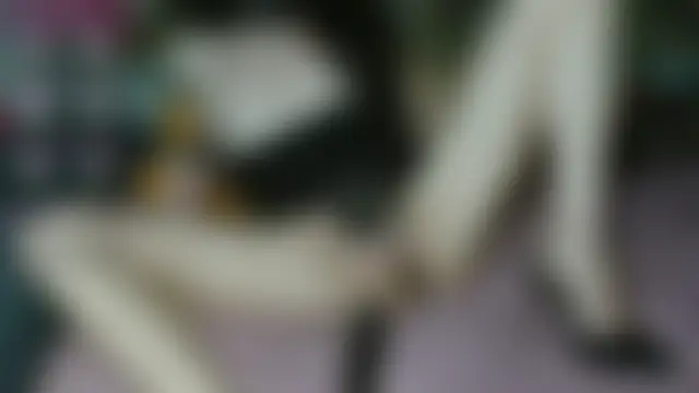 Yllmira's Live XXX Chat
