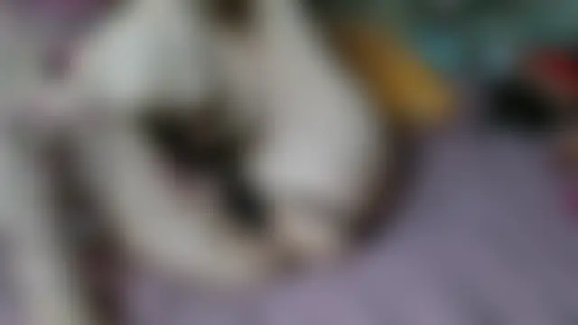 Yllmira লাইভ চ্যাট রুম