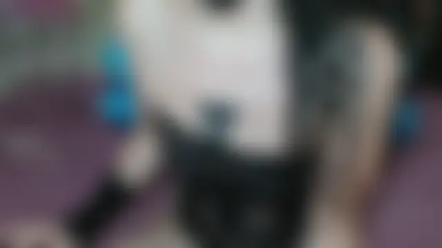 Phòng Chat Trực Tiếp Yllmira