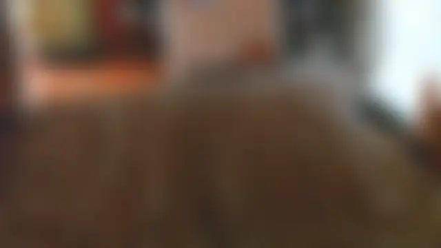Show de sexo ao vivo de liandragostosa