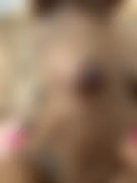 Hannagarces 现场聊天室
