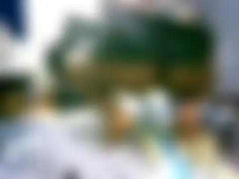 Онлайн чат honeypotsweet