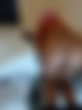 CaramelLesbianFemmXXX25 라이브 XXX 채팅