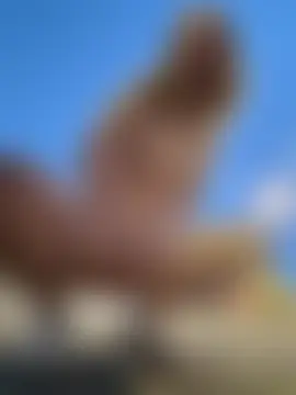 Živá chatovací místnost shymasha