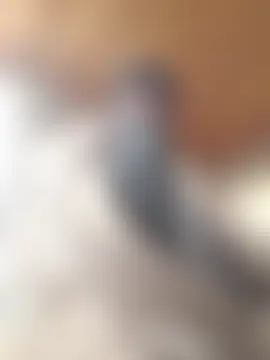 Chat soba uživo modela koolbend