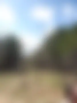 -Pupsiki-: δωμάτιο απευθείας συνομιλίας