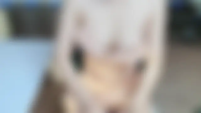 غرفة دردشة _abii_ المباشرة