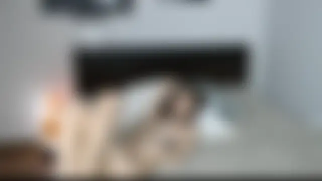 traxexe Live Chatrum