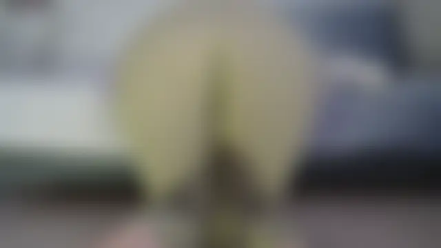 Chat soba uživo modela Fecvht45