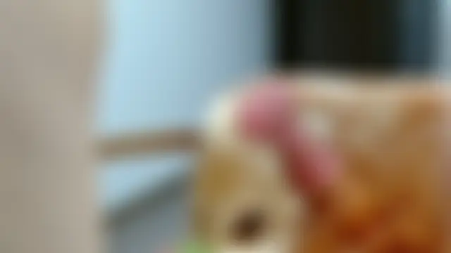 Chat ao vivo de sonyx