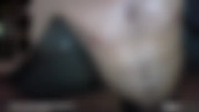 hungtechguy 웹캠 쇼