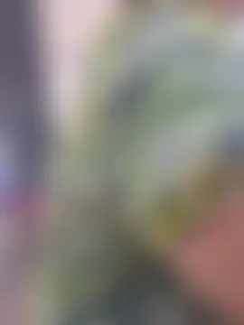Chat soba uživo modela Ravina_patil1