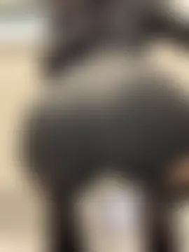 Chat soba uživo modela HaileyDiana