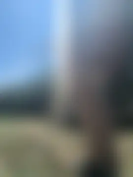 jusichkaのライブXXXチャット