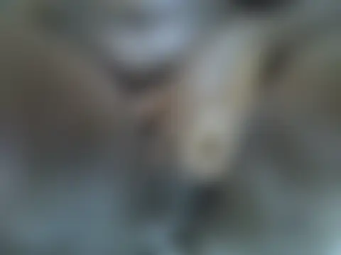 Webkamerová show HotBlackbbw
