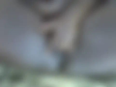 HotBlackbbw 실시간 채팅방