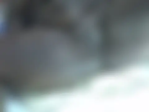 Sembang XXX Secara Langsung HotBlackbbw