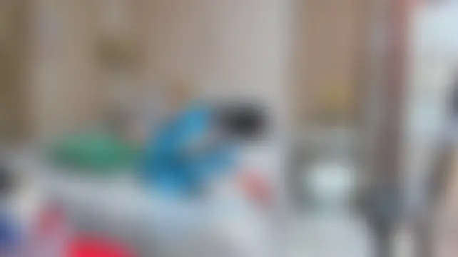 XXX chat uživo modela LissyJains