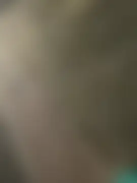 ToAnWTW Live Chatrum