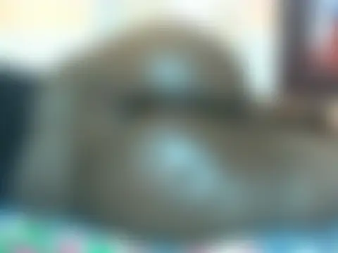 Lovely-edday2 Live Chatraum