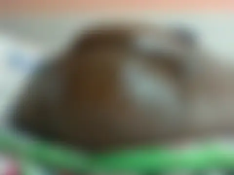 Lovely-edday2's Live Webcam Chat