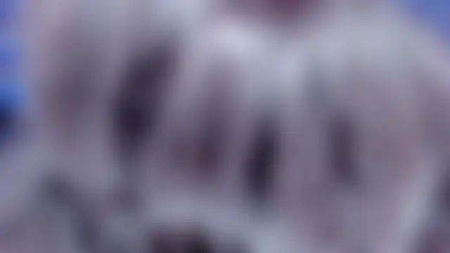 Dana_Jeins 실시간 채팅방