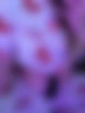 Quen_amora 실시간 채팅방