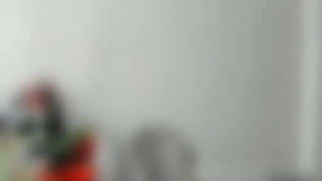 Онлайн чат XXX ailey_chao
