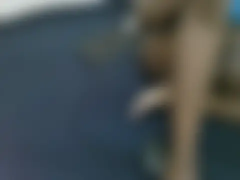 lella-0 실시간 채팅방