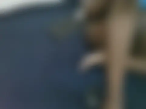 Sala de chat ao vivo de lella-0