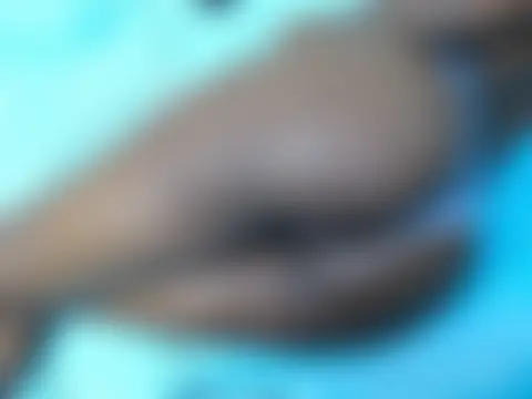 lella-0 Live Chatraum