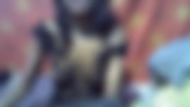 Pokazy przed seks kamerką na żywo – indiangeni20