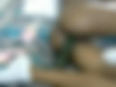 Sala de chat en directo de Sexxieshanty