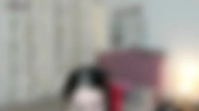 XXX chat uživo modela Antonella_heinz