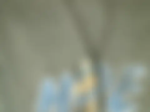 Phòng Chat Trực Tiếp Sharmybabe