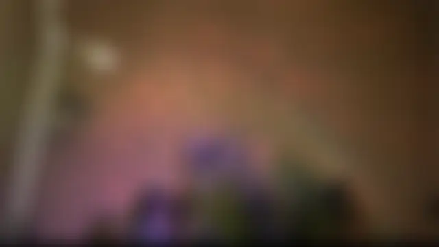 Bilik Sembang Langsung Arianna_Richi