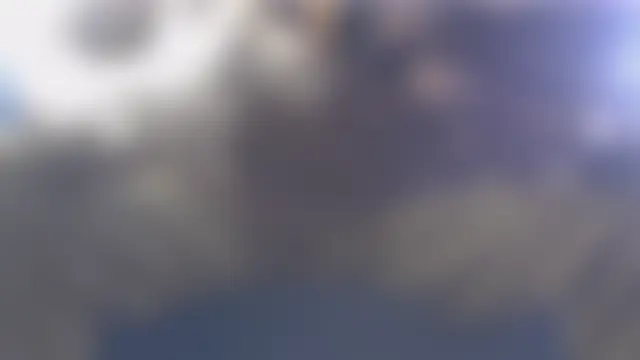 TheeRealShow 웹캠 쇼