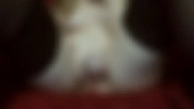 Živá chatovací místnost fajnaniunia88888