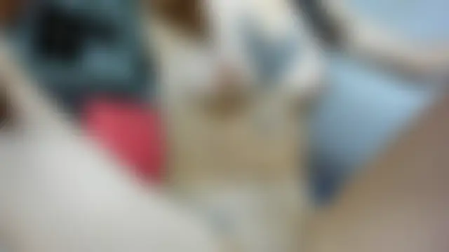 katt__black__ Adlı Modelin Canlı Sohbet Odası